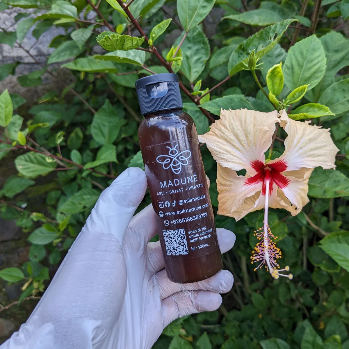 Gambar galeri: Madu Kele Premium Bali Madu Kele Premium Bali