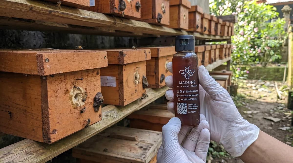 Gambar artikel: Khasiat Madu Kele Kele : Obat Tradisional Alami Terbukti Khasiat Madu Kele Kele : Obat Tradisional Alami Terbukti
