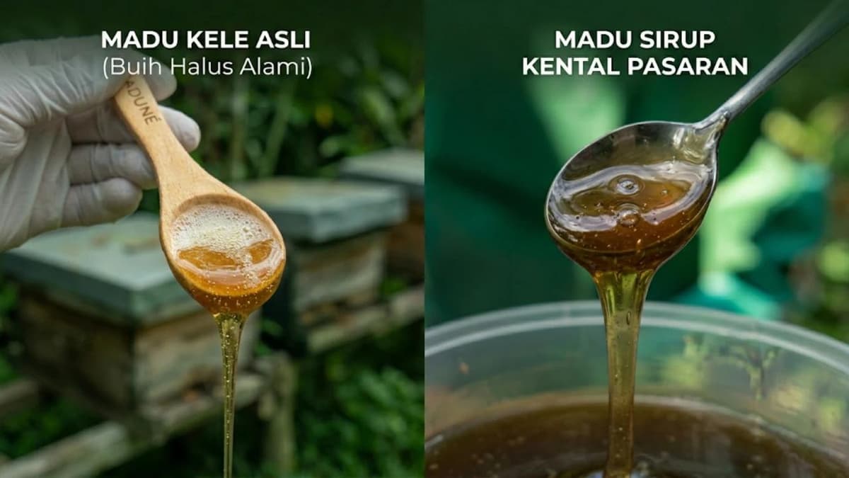 7 Ciri Madu Kele Bali Asli: Jangan Sampai Tertipu!